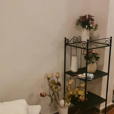 Old Center Apartment *