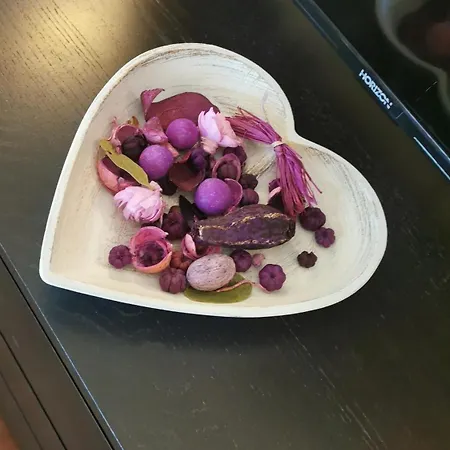 Old Center Appartement Bucarest